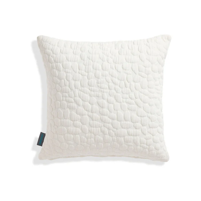18x18 Throw Pillow Cover