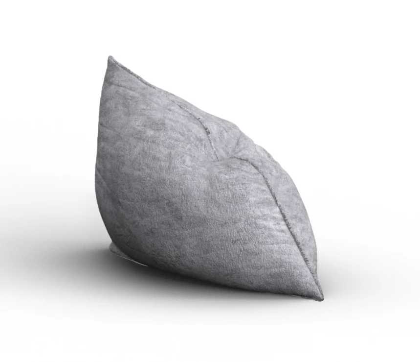 Custom PillowSac Cover